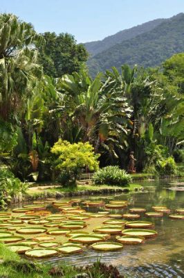 Jardim Botânico do Rio de Janeiro: Bir Tropikal Cennet ve Bilimsel Keşiflerin Beşiği!