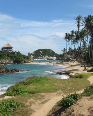 Parque Tayrona: Bir İnsanı Hayrete Düşüren Cennet ve Tarihi Mirası Keşfetmek İçin Mükemmel Bir Yer!