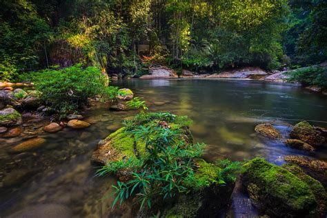  Taipinggou National Forest Park Güzel Manzaraları ve Yürüyüş Yollarıyla Size Bekliyor!