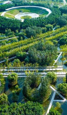   Zhoukou Shenyang Forest Parkı, Yeşil Vadiyle Buluşan Tarihin İzleri!